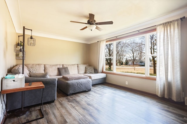 living area featuring ceiling fan, baseboards, wood finished floors, and ornamental molding