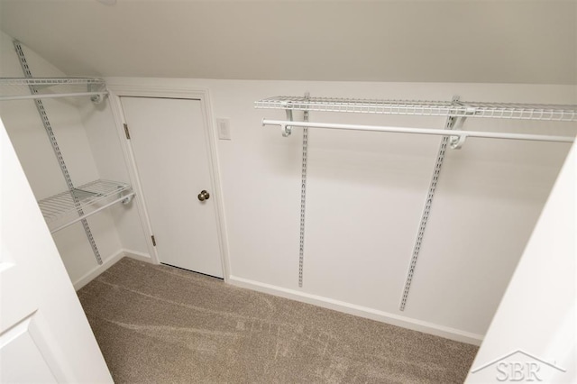 walk in closet featuring carpet floors