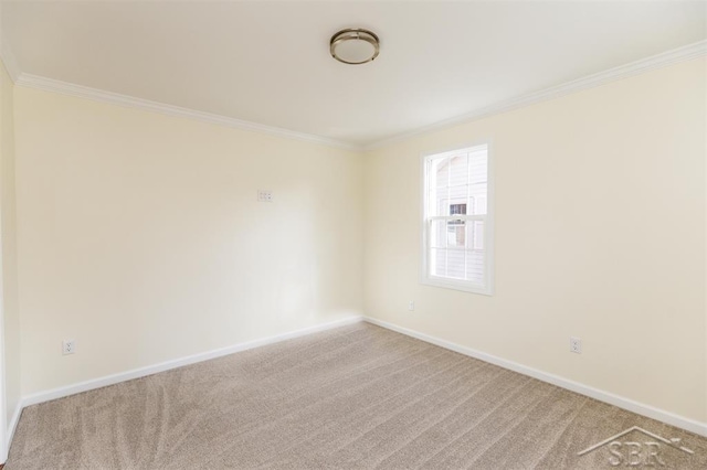 spare room with carpet flooring, baseboards, and ornamental molding