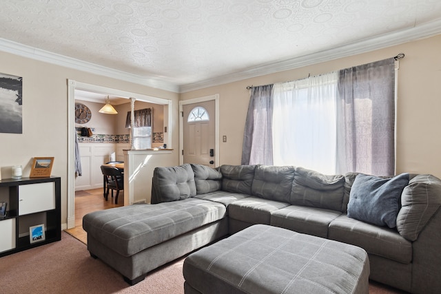 carpeted living room with crown molding