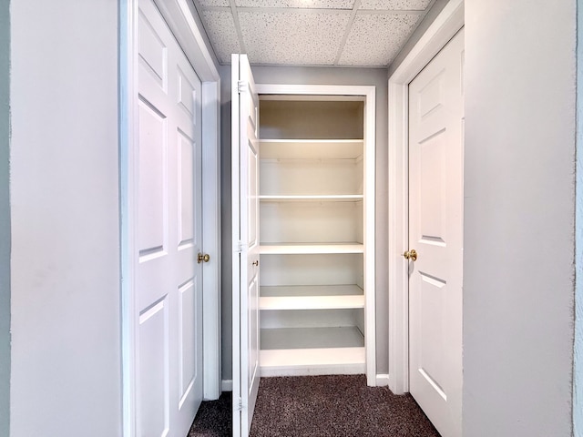 view of closet