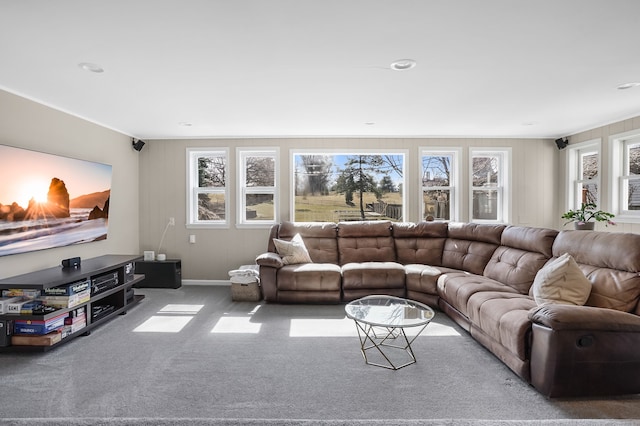 living area with carpet flooring