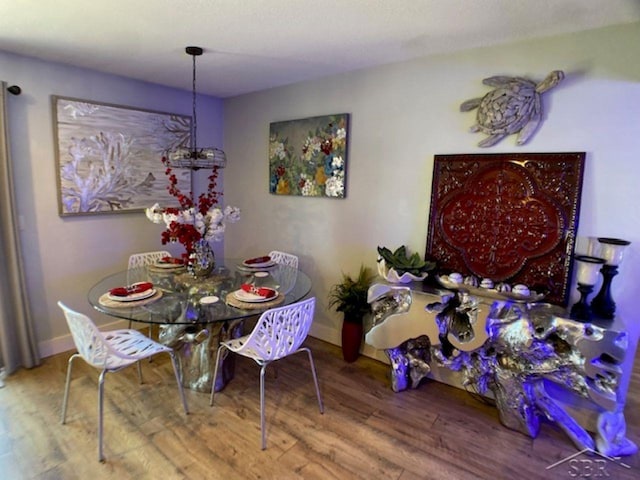 dining room with baseboards and wood finished floors