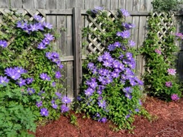 exterior space with fence