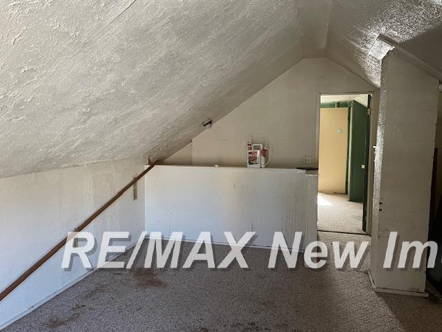 additional living space featuring carpet floors, a textured ceiling, and vaulted ceiling