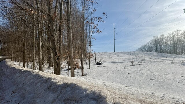 Listing photo 3 for LOT199 Hilltop Dr, Bellaire MI 49615