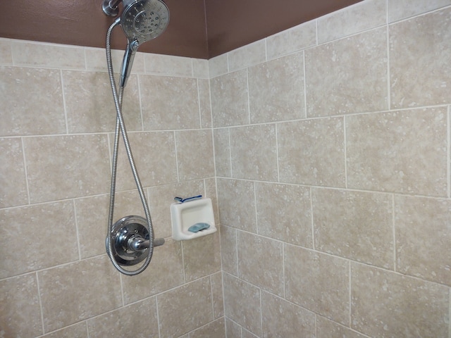 room details featuring tiled shower