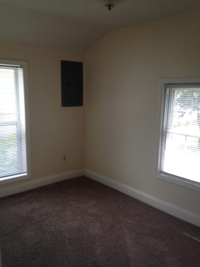 additional living space with electric panel, baseboards, carpet flooring, and vaulted ceiling