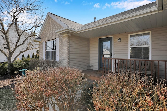 doorway to property featuring covered porch, brick siding, and roof with shingles