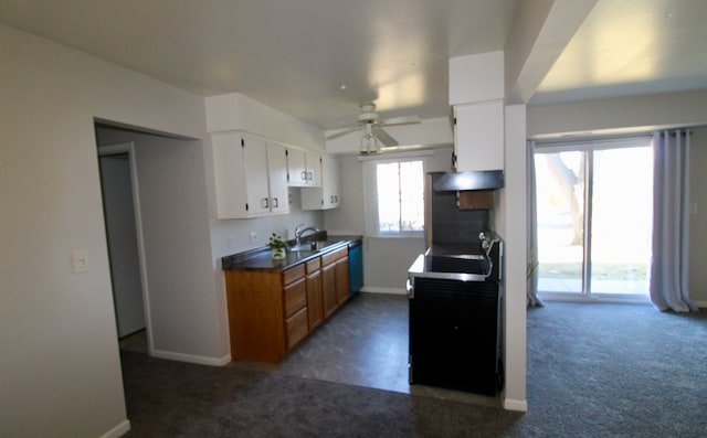 kitchen with ceiling fan, baseboards, under cabinet range hood, white cabinets, and a sink