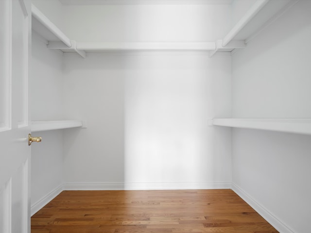 walk in closet featuring wood finished floors