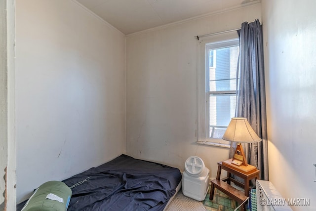 bedroom featuring multiple windows and ornamental molding