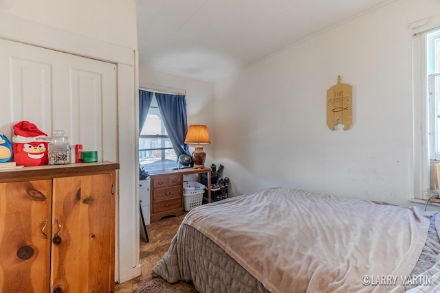 carpeted bedroom with multiple windows