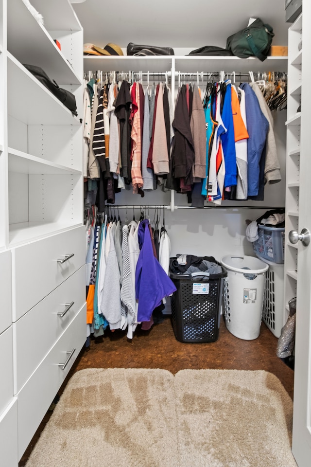 view of walk in closet