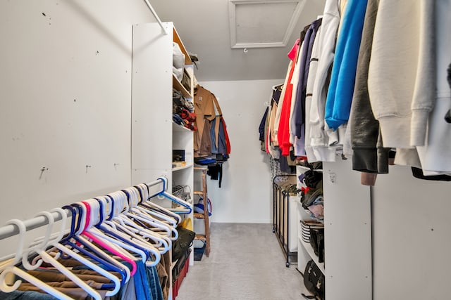 spacious closet with attic access and carpet floors