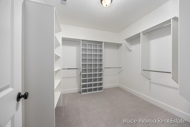 spacious closet with carpet and visible vents