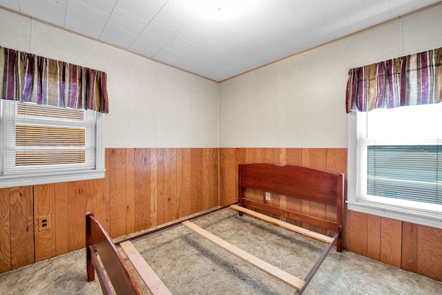 unfurnished bedroom featuring carpet flooring, a wainscoted wall, and wood walls