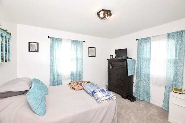 carpeted bedroom with multiple windows