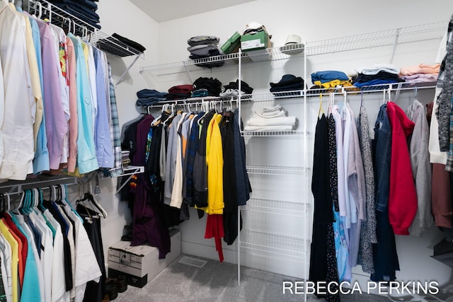 walk in closet with carpet floors