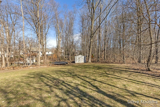 view of yard with a storage shed and an outdoor structure