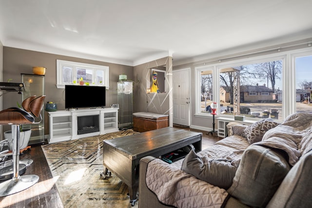 living area featuring wood finished floors and baseboards