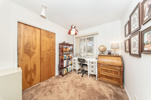 carpeted office featuring crown molding and baseboards