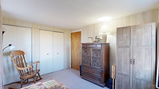 living area with carpet floors