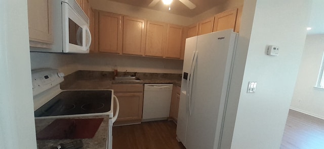 kitchen with dark wood-type flooring, light brown cabinets, a sink, white appliances, and ceiling fan