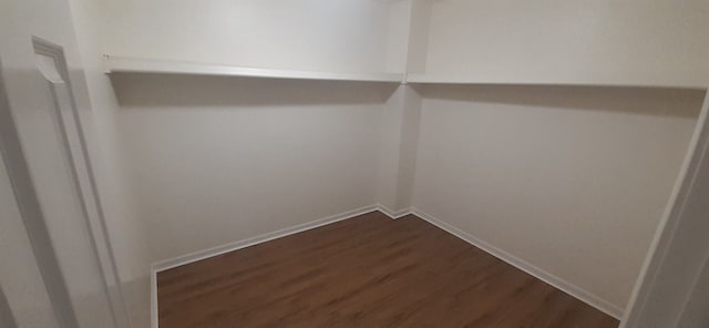 walk in closet with dark wood-style flooring