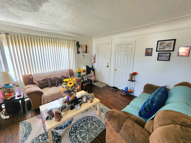 living area featuring wood finished floors and a textured ceiling