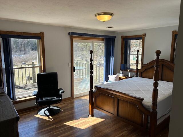 bedroom featuring dark wood finished floors and access to outside