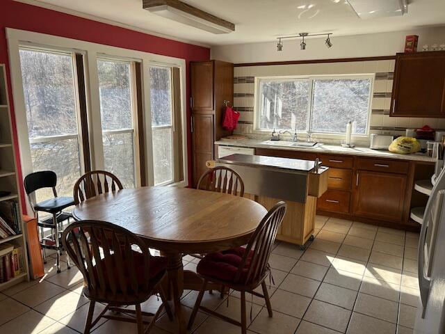 dining room featuring light tile patterned floors and plenty of natural light