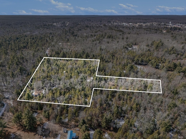 aerial view featuring a forest view