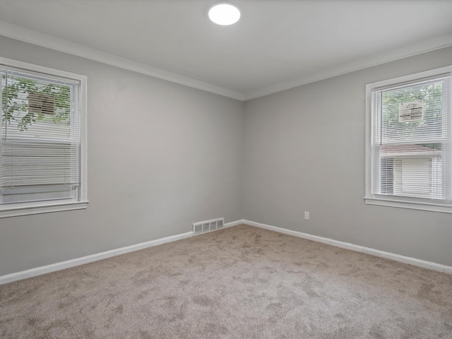 spare room with visible vents, plenty of natural light, carpet, and ornamental molding