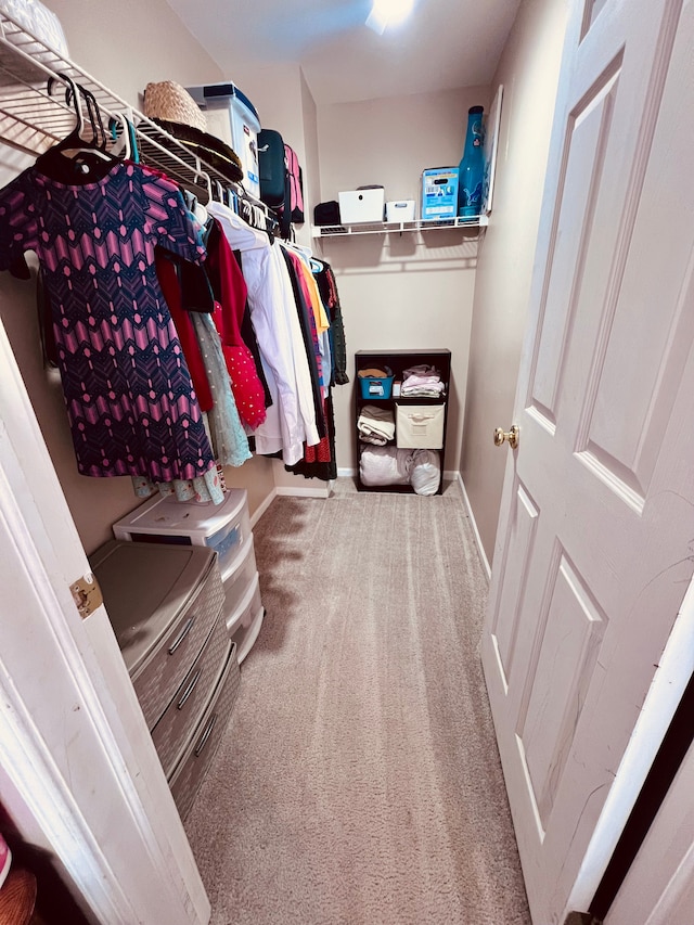 walk in closet featuring carpet floors