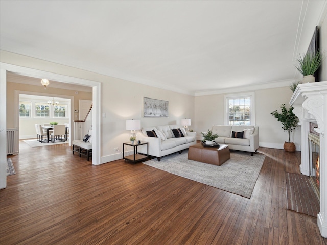 living room featuring a glass covered fireplace, an inviting chandelier, dark wood-style floors, and ornamental molding