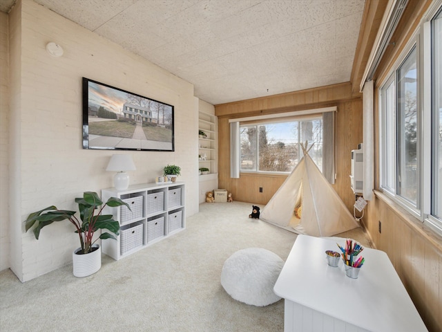 recreation room featuring wooden walls, built in shelves, and carpet