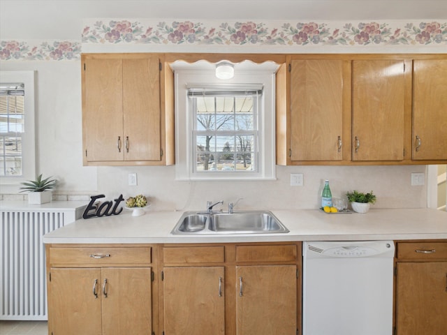 kitchen featuring radiator, a healthy amount of sunlight, white dishwasher, a sink, and light countertops