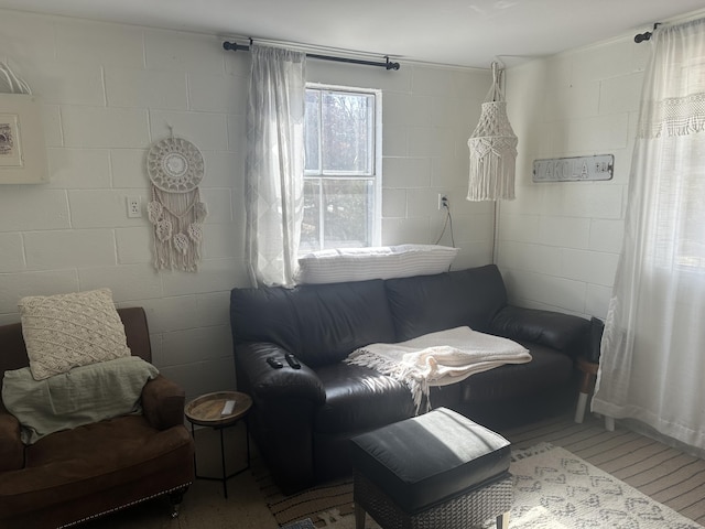 living area with concrete block wall