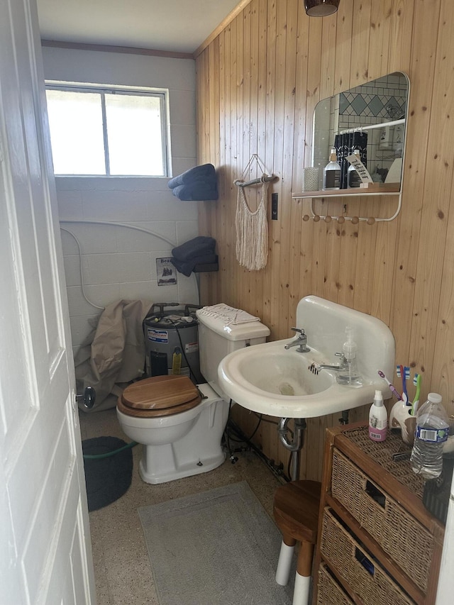 half bathroom with a sink, speckled floor, toilet, and wooden walls