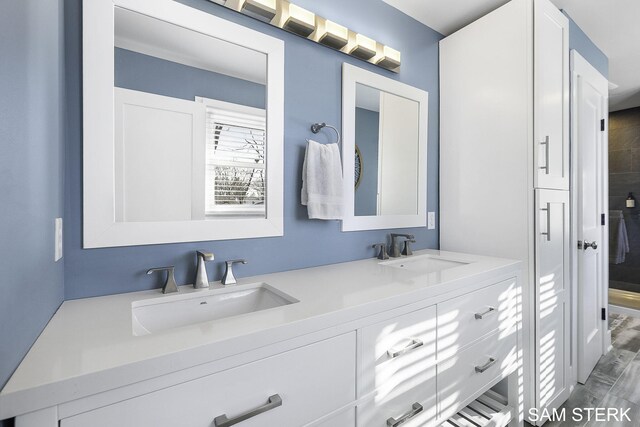 bathroom with double vanity, wood finished floors, and a sink