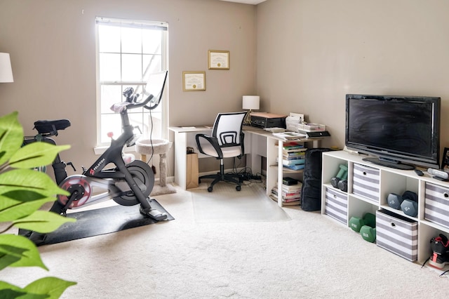 office area with carpet floors