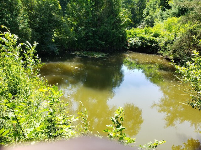 35553 M 43, Paw Paw, MI 49079 - photo 10