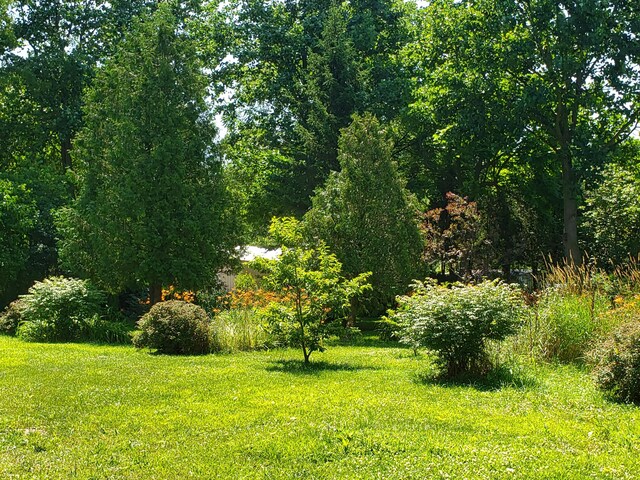 35553 M 43, Paw Paw, MI 49079 - photo 13