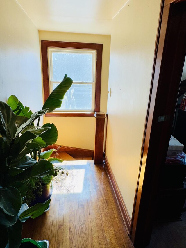 35553 M 43, Paw Paw, MI 49079 - photo 24