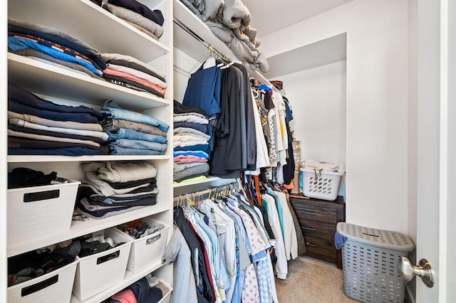 spacious closet with carpet