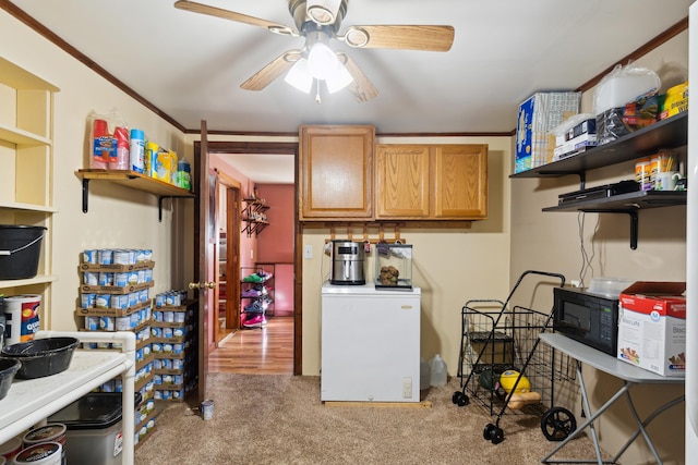 clothes washing area featuring carpet, ceiling fan, and crown molding