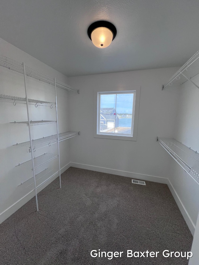 11328 Shoreline Dr Unit 118, Allendale, MI 49401 - spacious closet with carpet floors