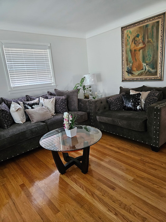 living room featuring wood finished floors