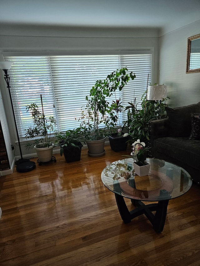 living room featuring wood finished floors